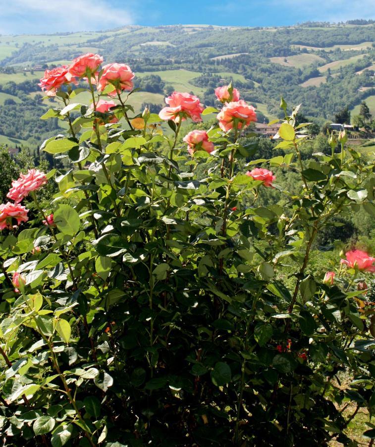 Country House Ca' Vernaccia Guest House Urbino Luaran gambar